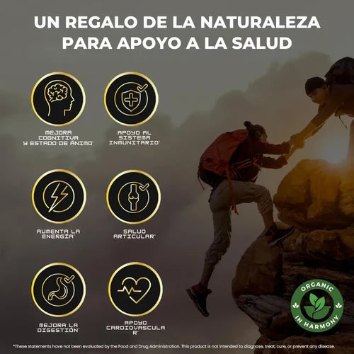 💥 GOMAS SHILAJIT 180g – ¡POTENCIA MÁXIMA EN MEGA OFERTA!